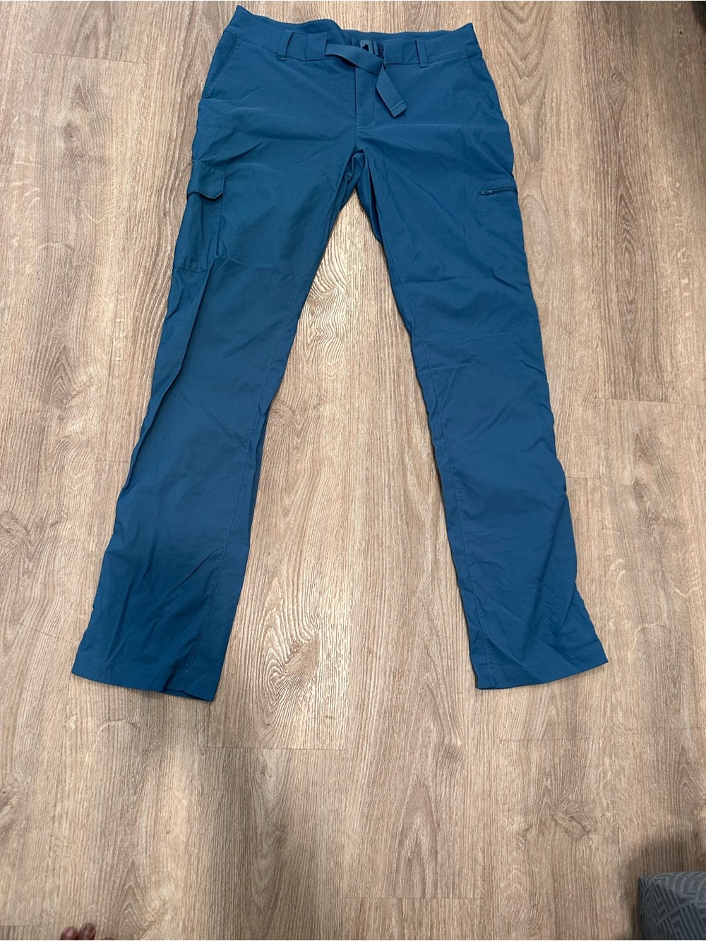The North Face Men's Teal Cargo Pants